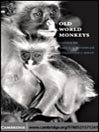Old World Monkeys